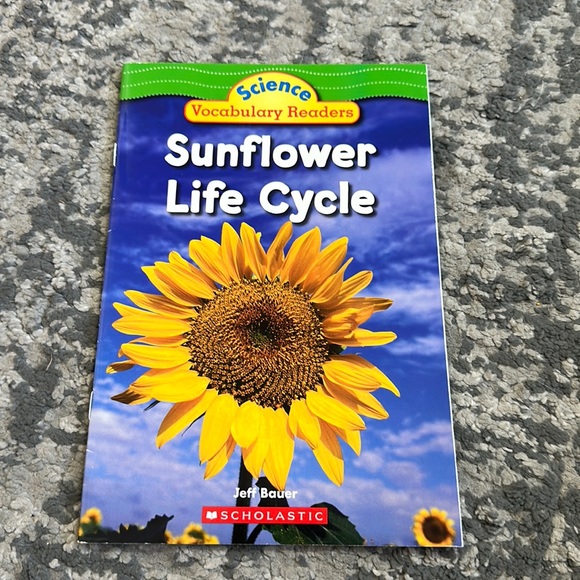 Scholastic Toys Sunflower Book Poshmark